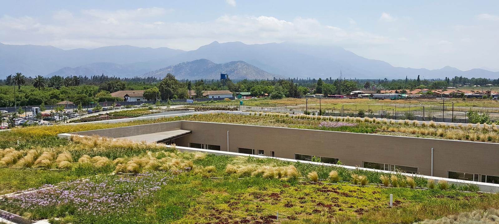 Large roof with versatile vegetion